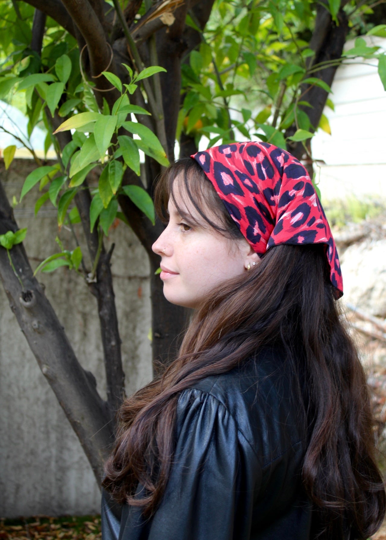 בנדנה כלנית